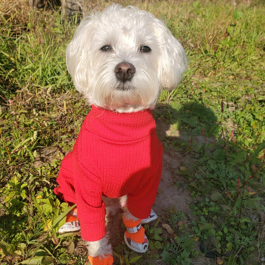 ༺ཌༀ奶油田田圈ༀད༻