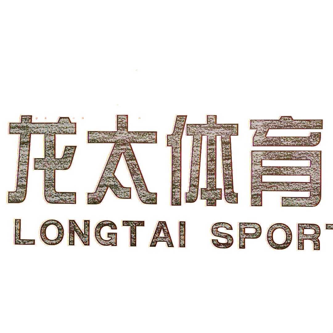 山西龙太体育