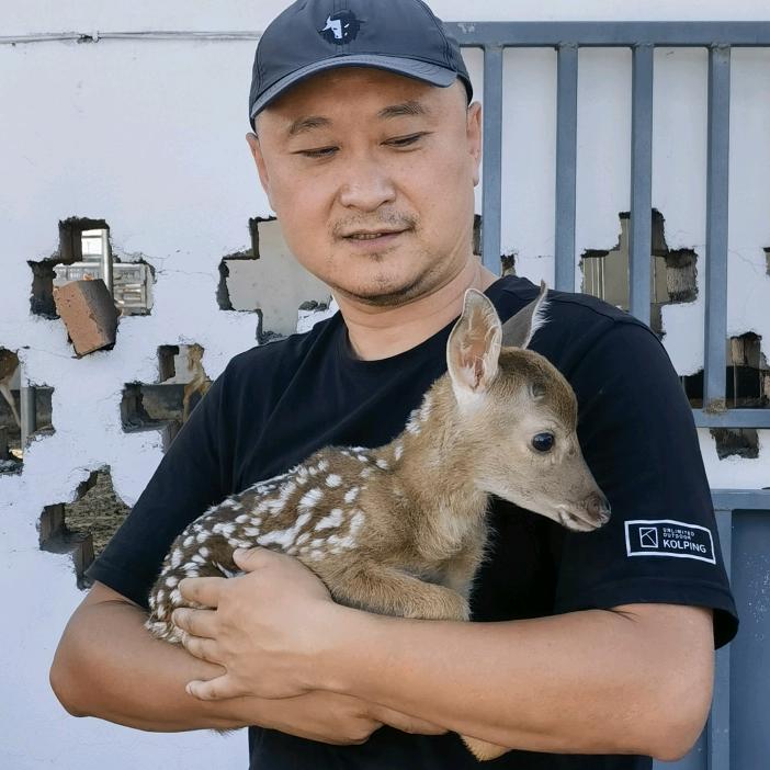 猴哥与小鹿