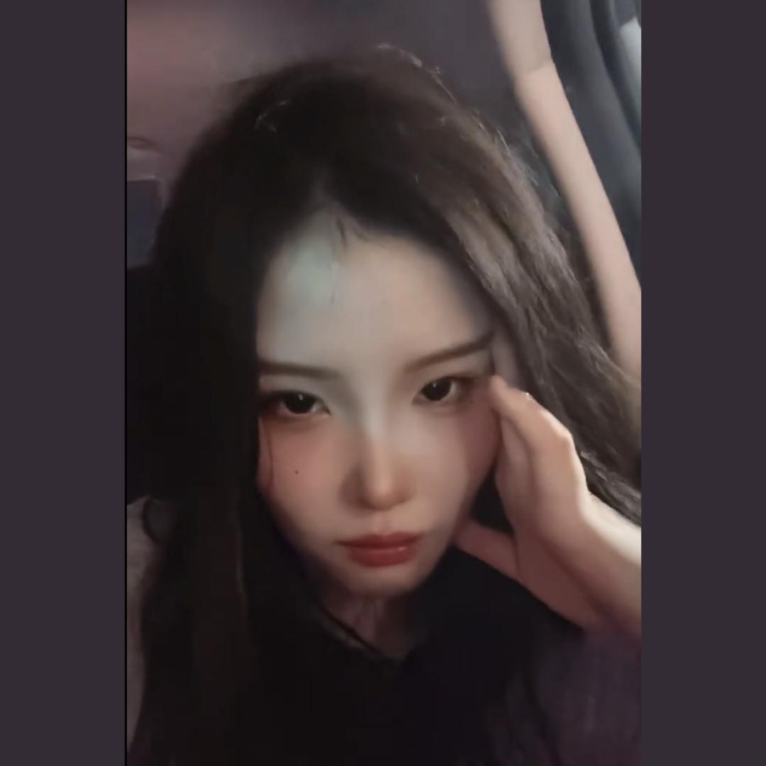 崽崽🦕(下午2-4)