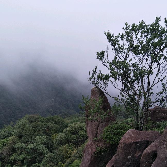 柠萌₍˄·͈༝·͈˄*₎◞ ̑̑