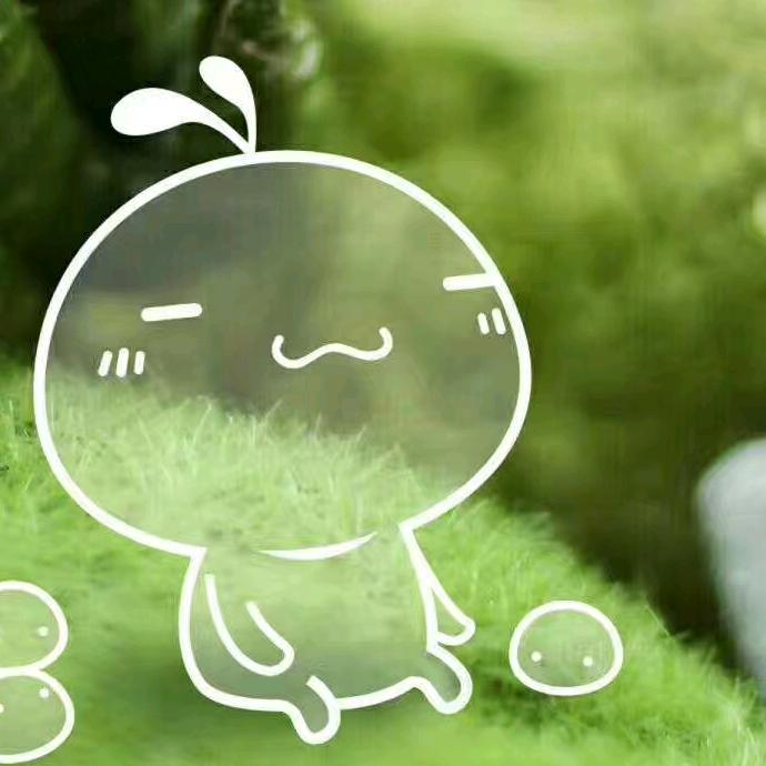 漯河市账无忧