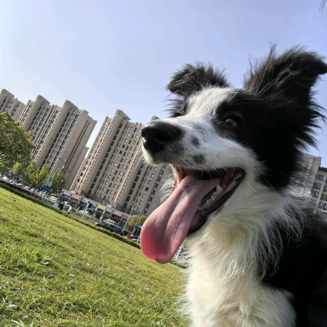 露馅的汤圆儿