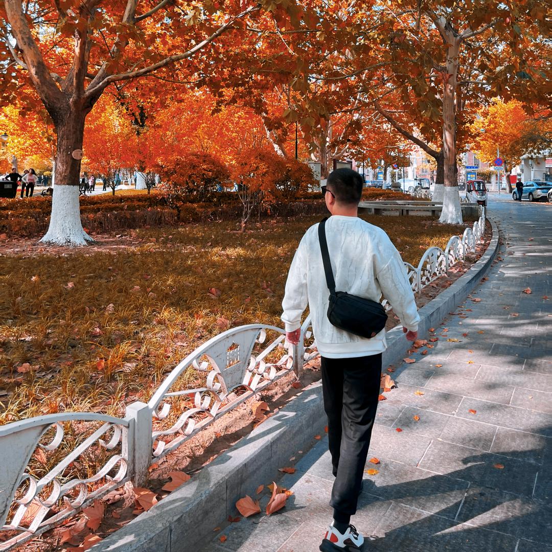 在人间走南闯北