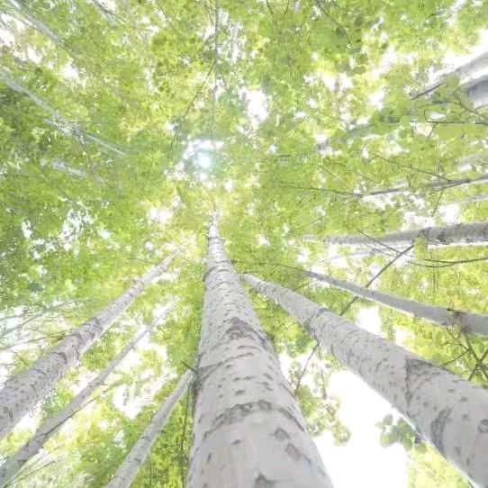 半醒半醉半心凉。