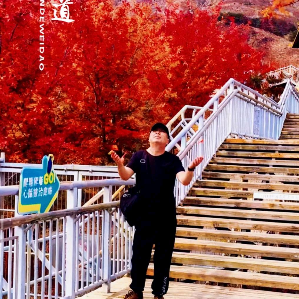 ༄﷼尚🍻子໊࿔࿐