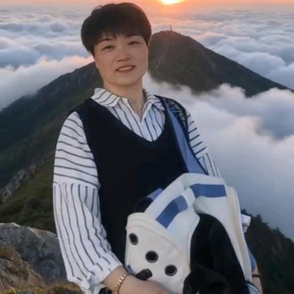 元宝是只猫《谢绝私聊》