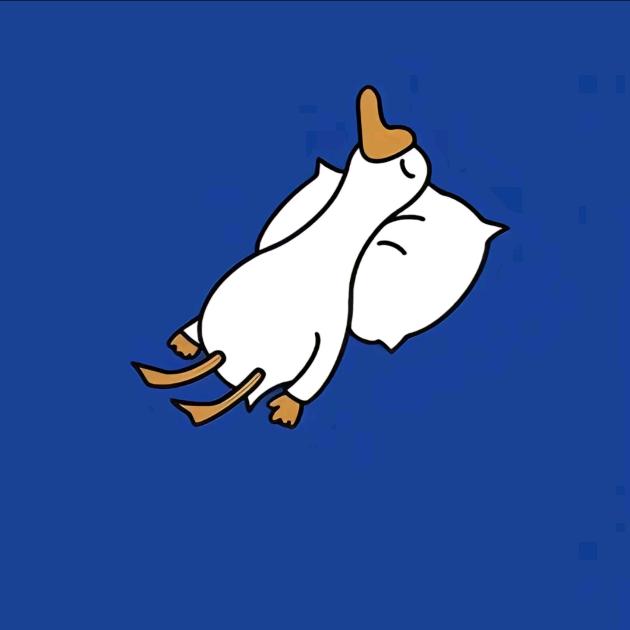 毛十二