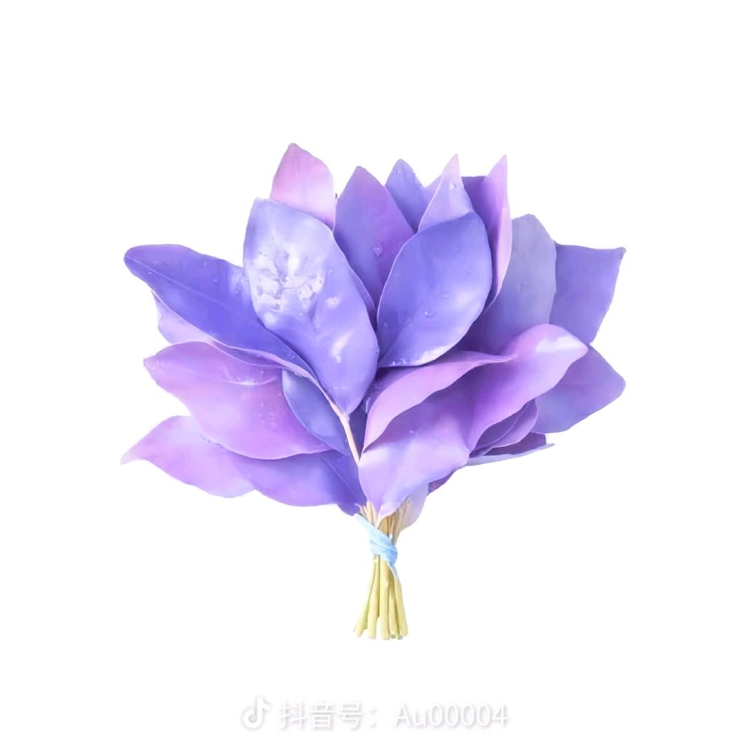 小圆子