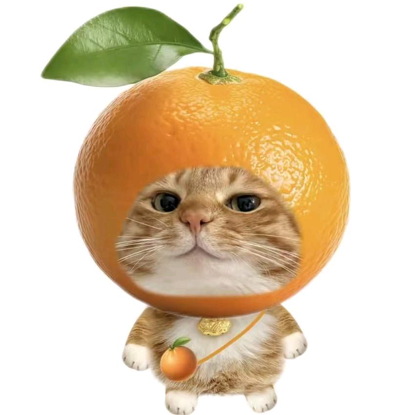 🍊🍊🍊