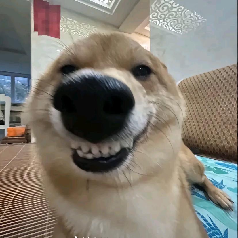nacor