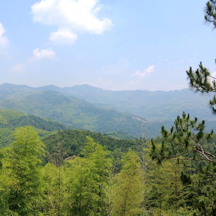 文音