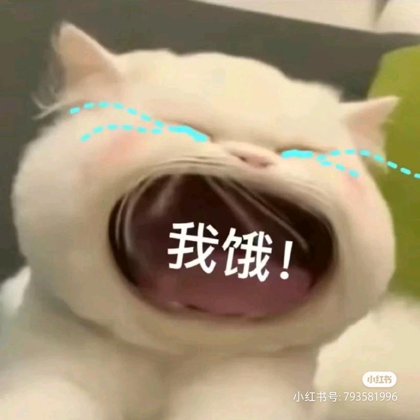 闊濶爱元子(๑><๑）