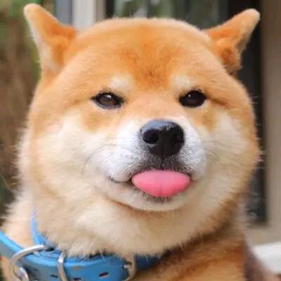蜡笔小新