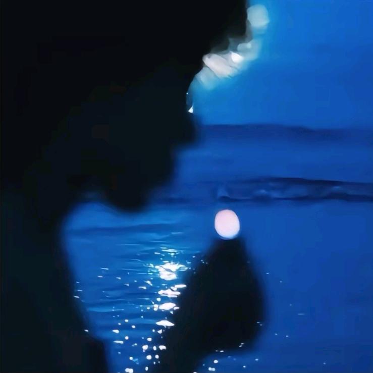 把你写进诗里
