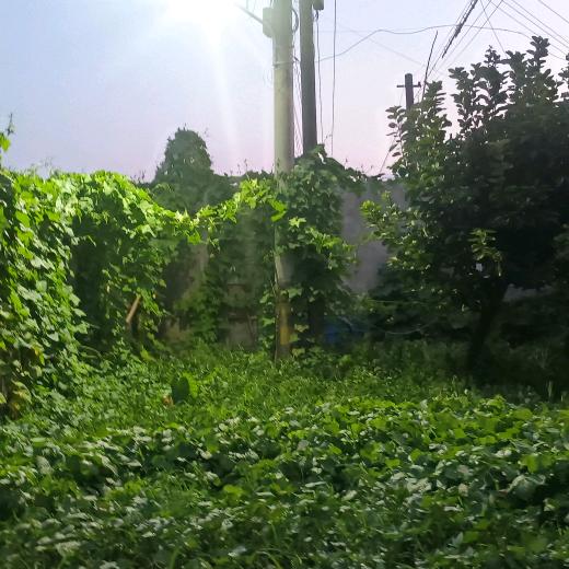 名度家具殷学凤