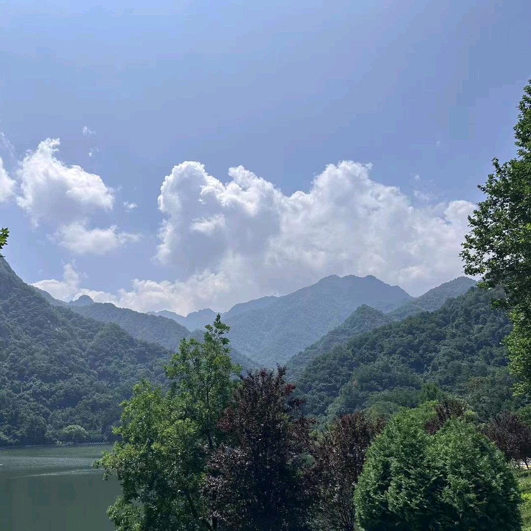 冬梅