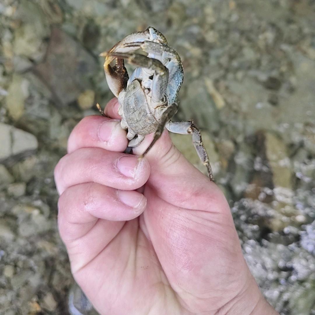 （小王爱吃棒棒糖）