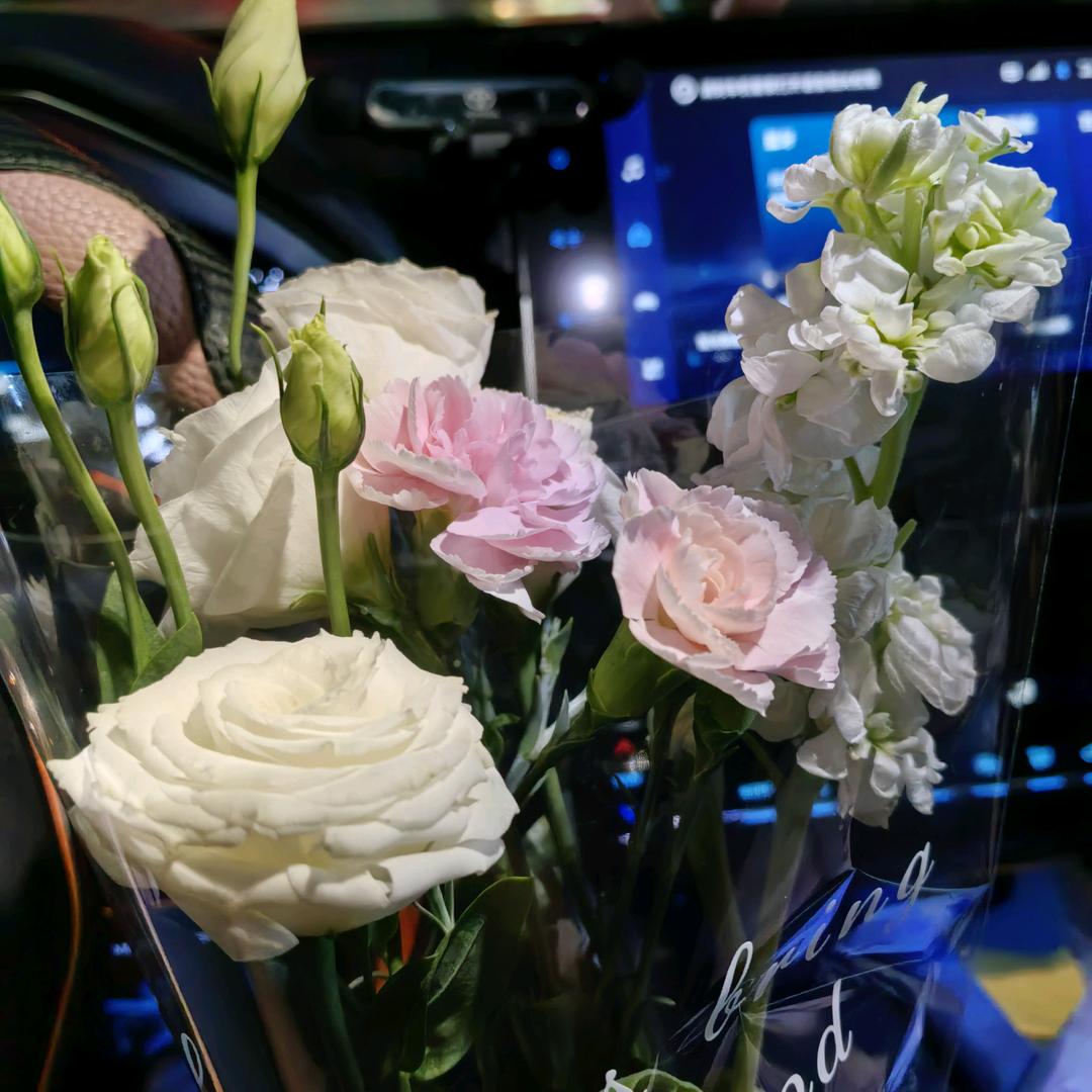 ☘︎ ݁˖꙳云初