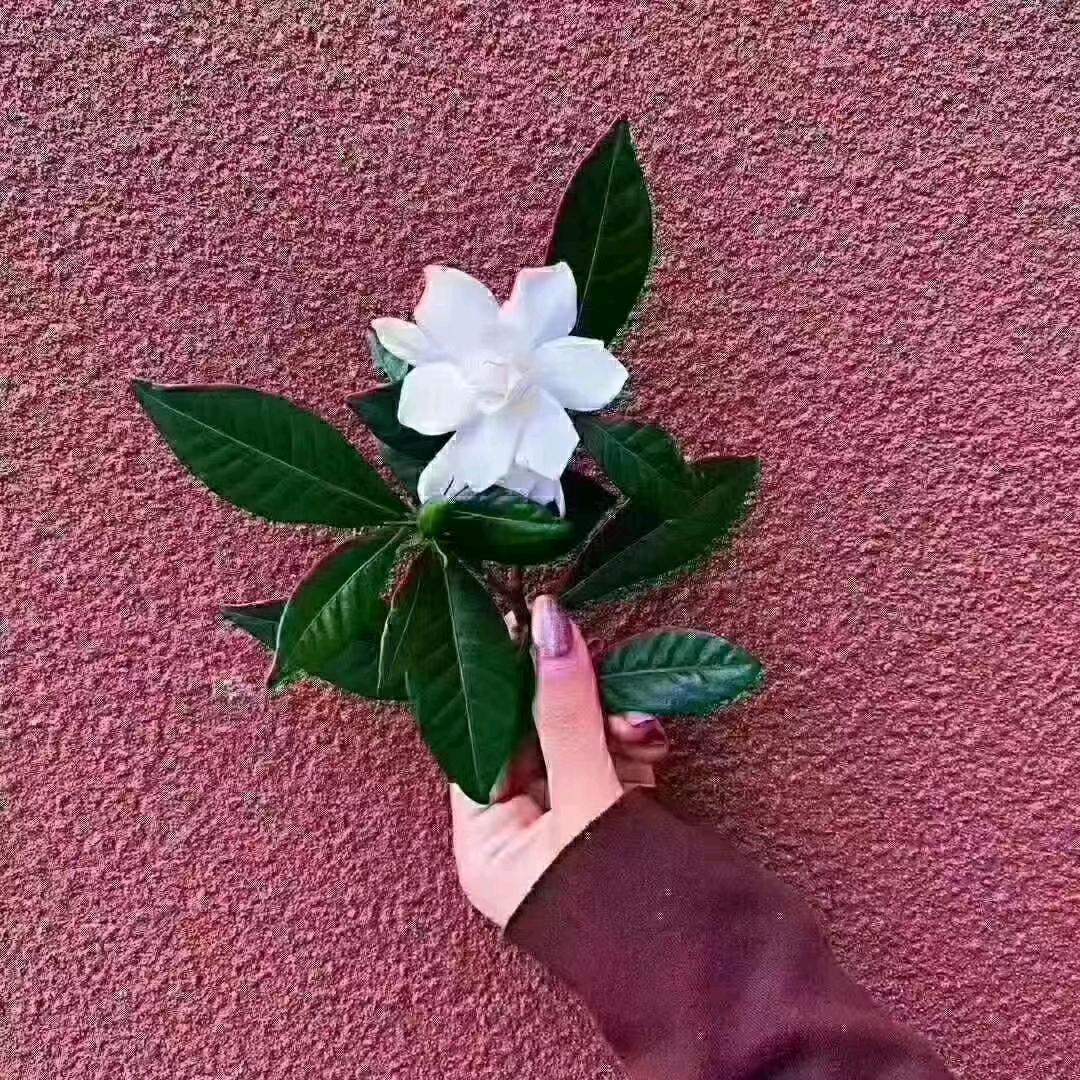 美妆推荐🛍🛒
