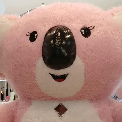 小可爱