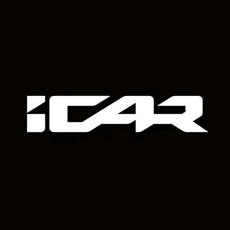 iCAR聊城盛世交付号2