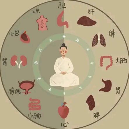 看来