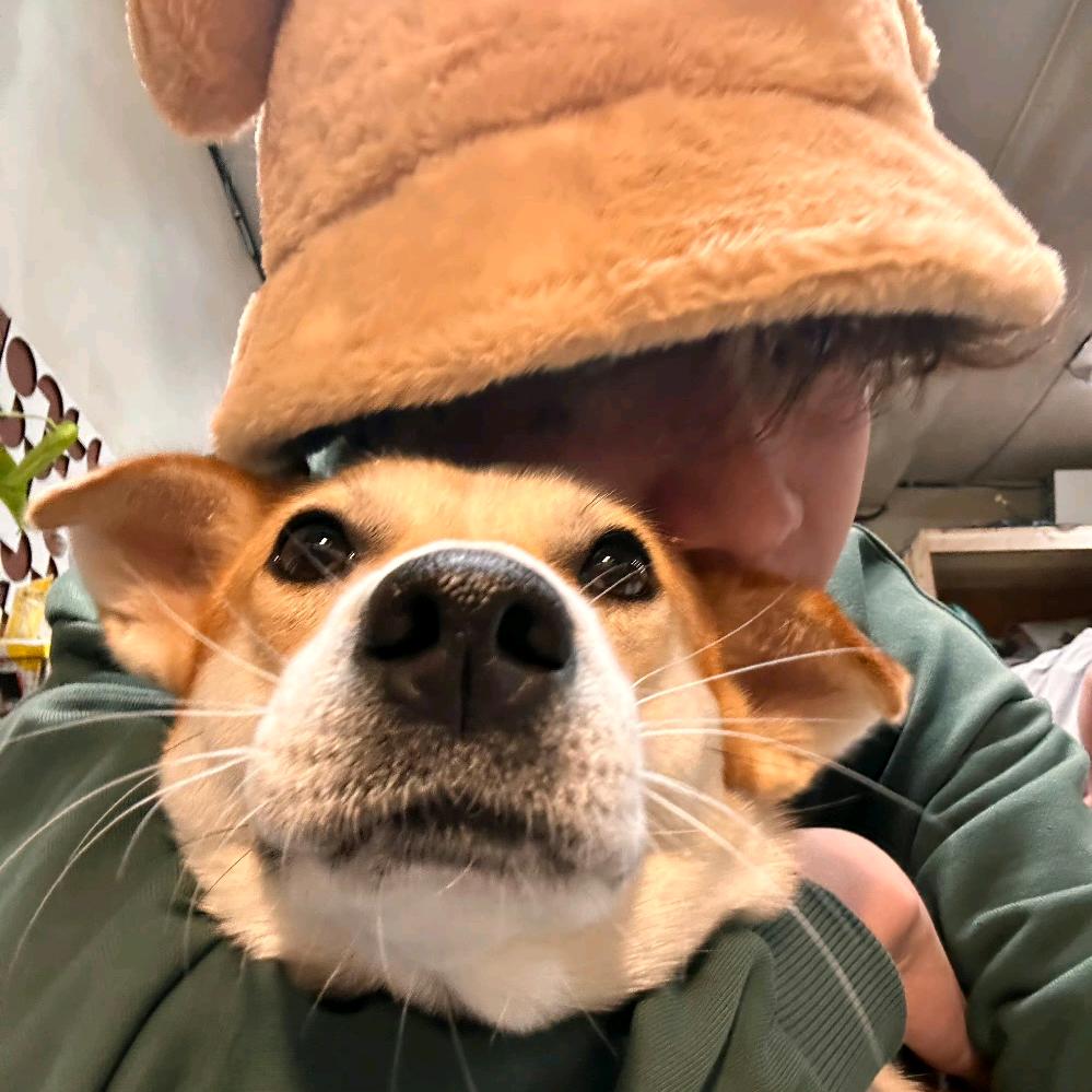 捞起月亮的松鼠