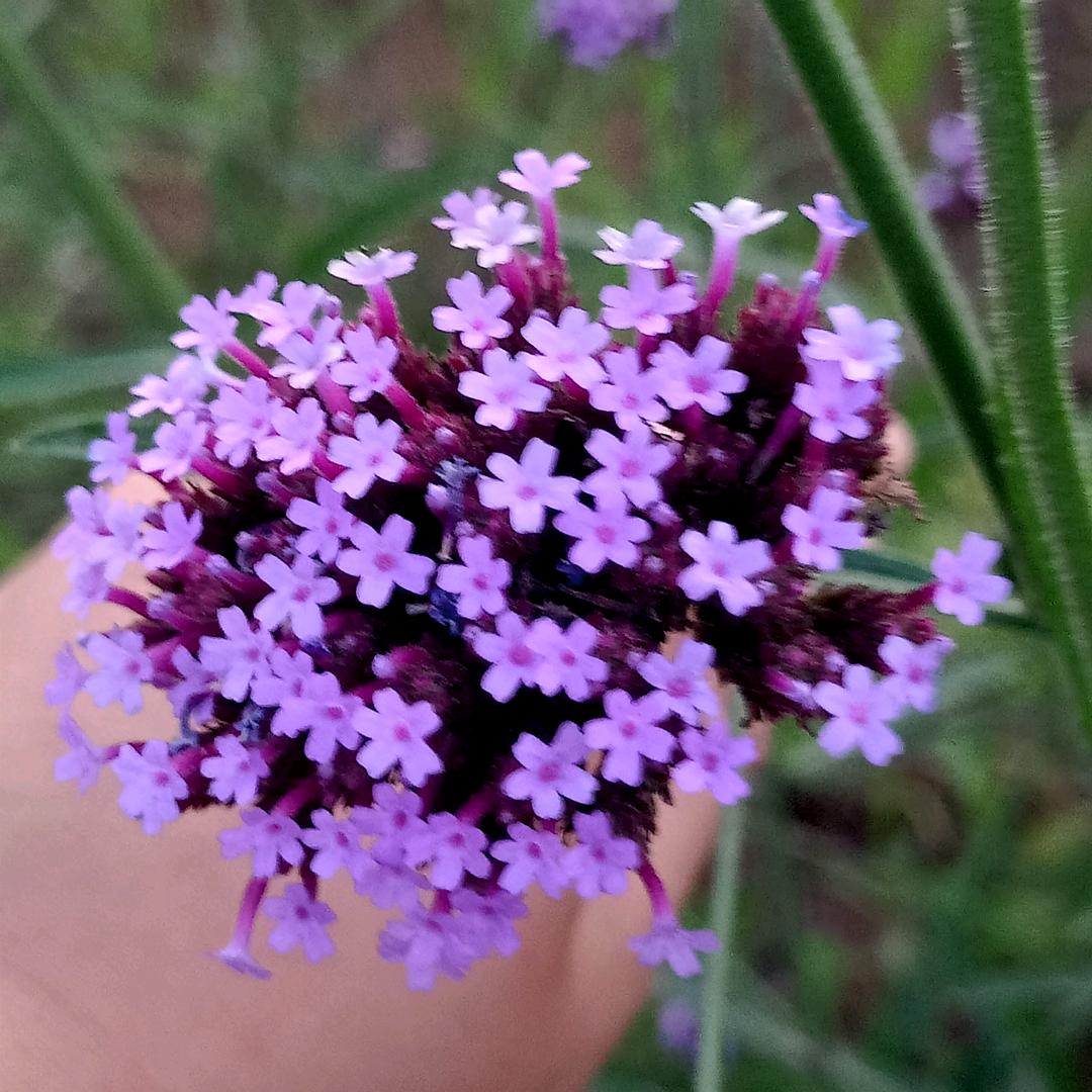 顺其自然