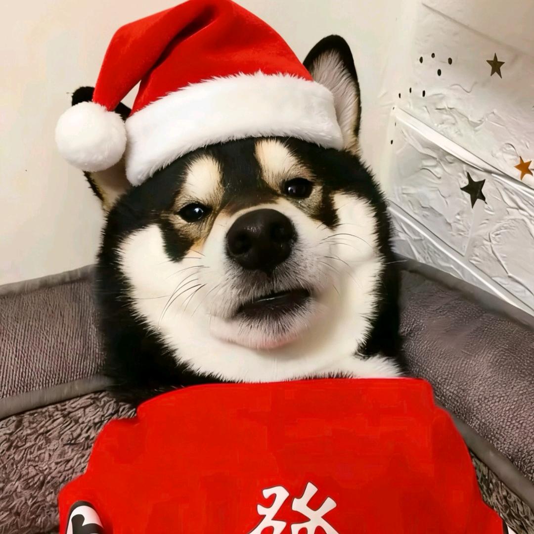 落落落落落地窗