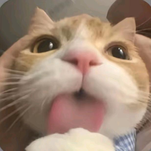 吃遍全世界的蛋挞🫧
