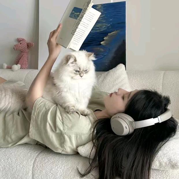 别吵咩咩睡大觉laᶠᵘᶠᵘ💤💤