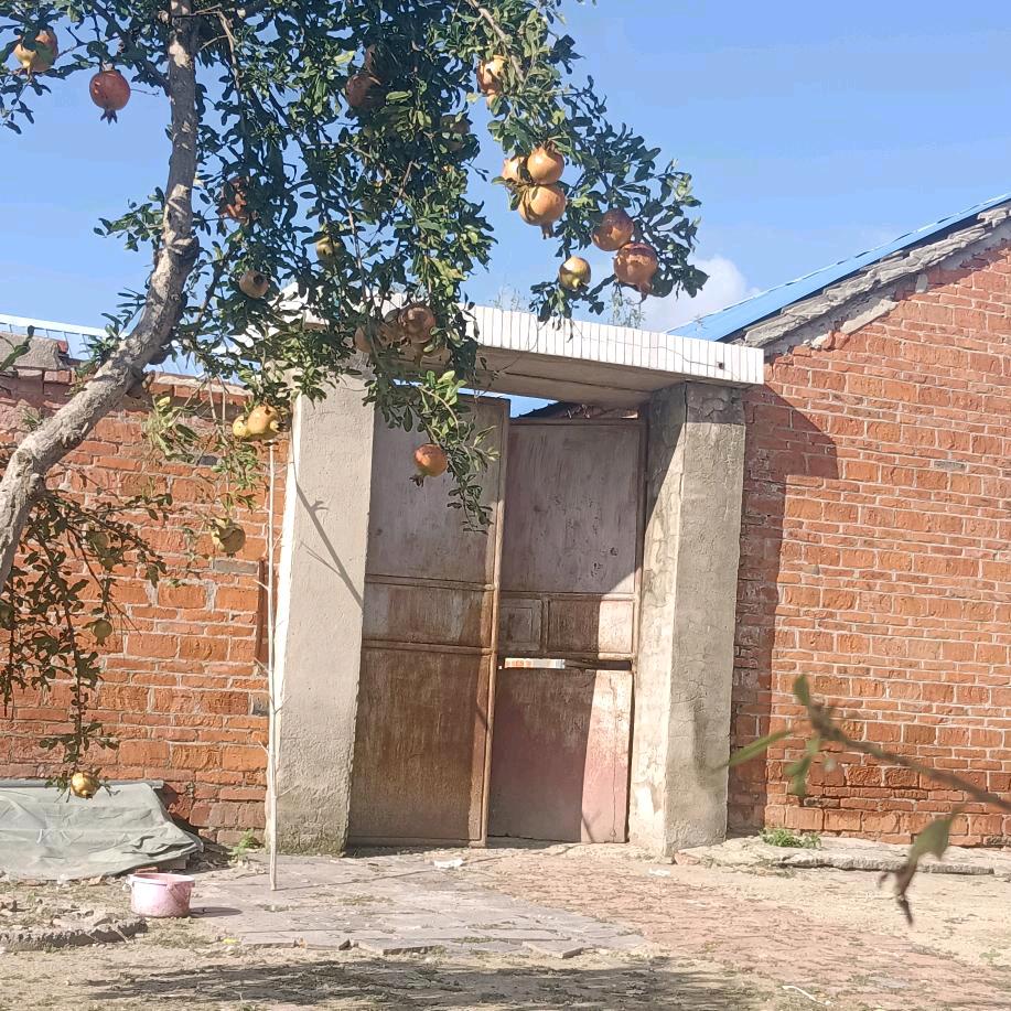 重生之~在重工业搬砖的小姐姐💕