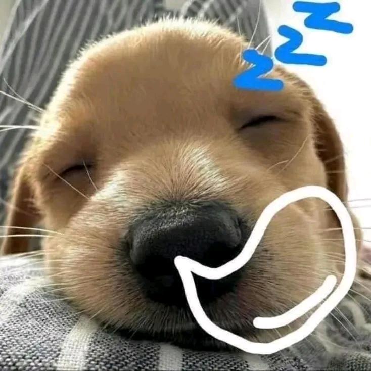 哄我开心