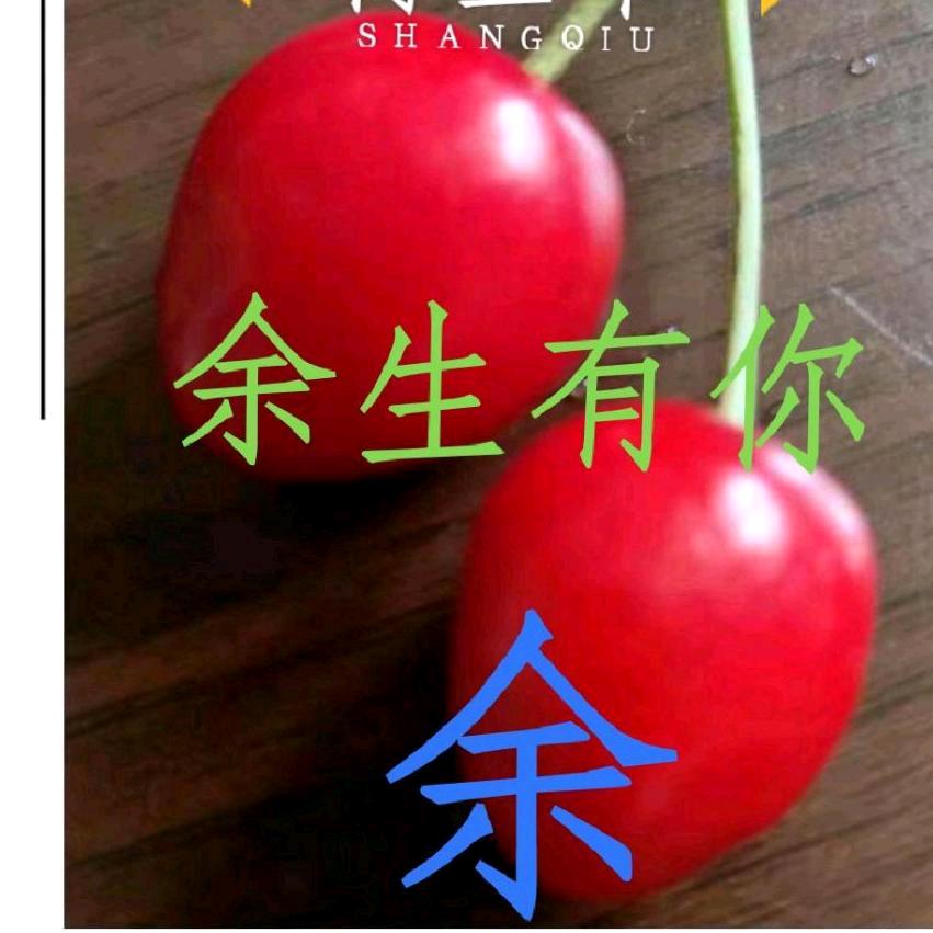 炫炫梅