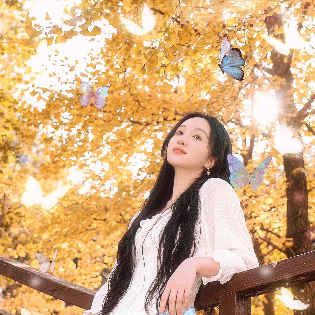 🦋媛媛