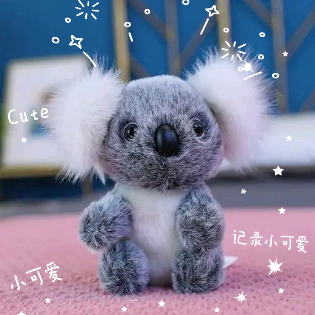 嘤嘤熊
