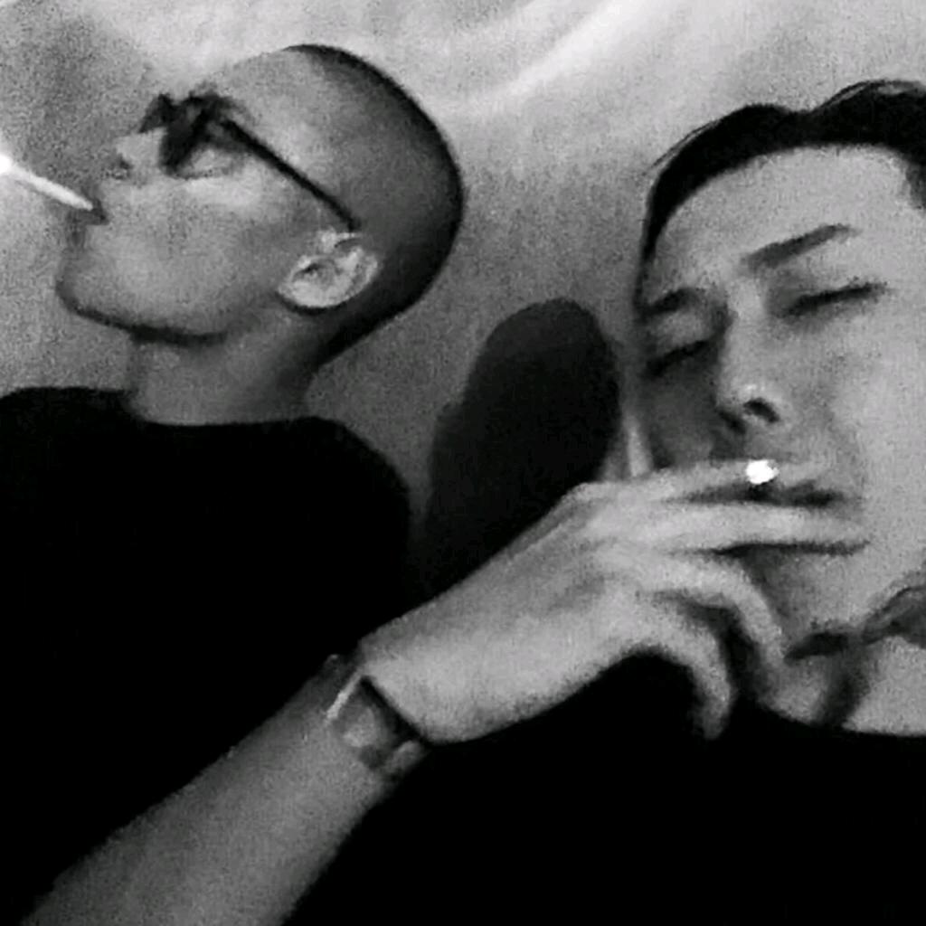 你在南海喂鲨鱼