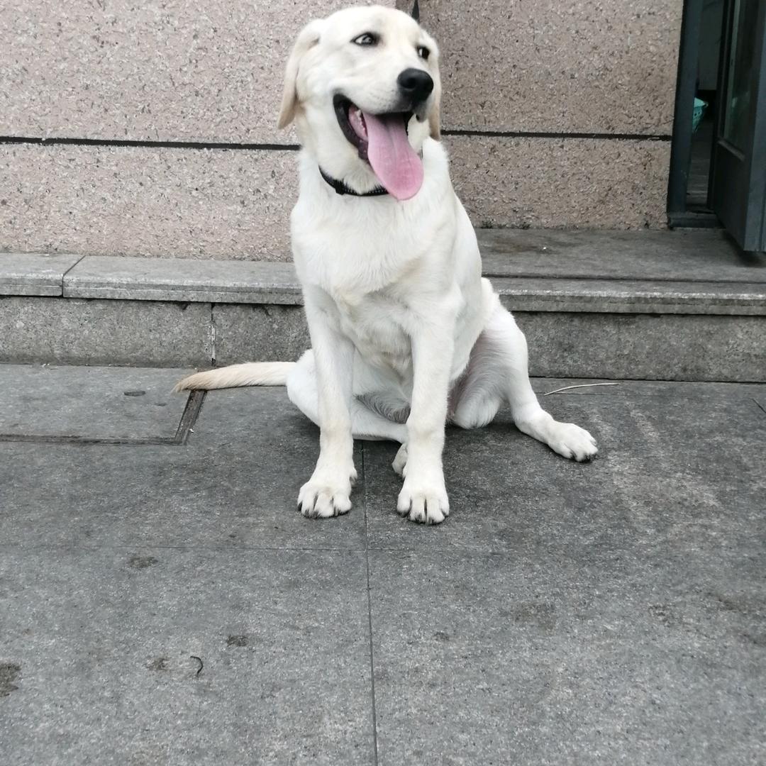 安阳姐姐