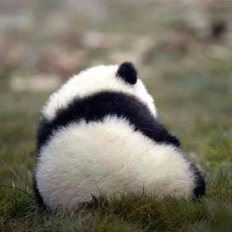 壹瓶小齐喜