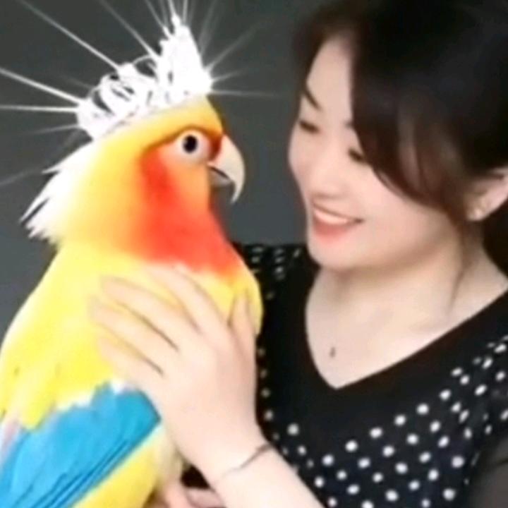 开开心心