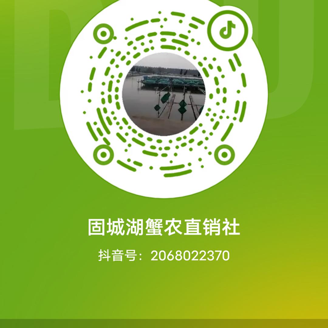 昆哥固城湖蟹农直销社