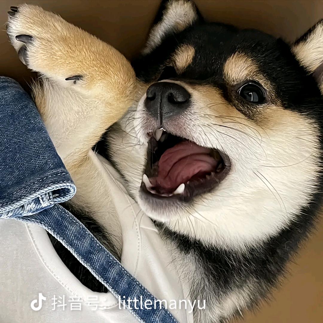 谢危ᴰᴺᴬ头像