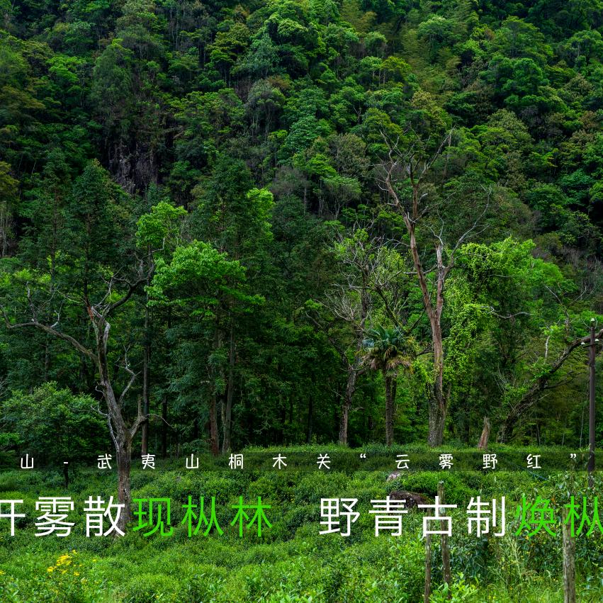 淮北悠然茶社