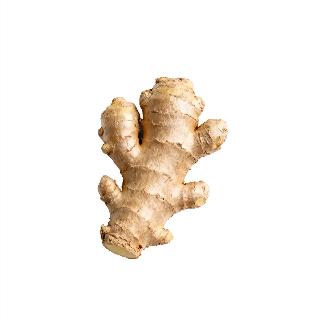 AAA姜大哥（专业模仿各式菜品）