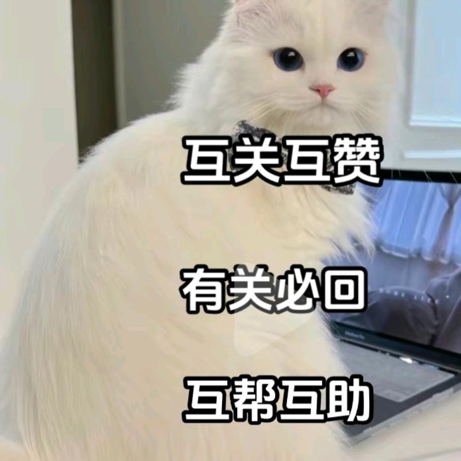 梦中的娜朵花