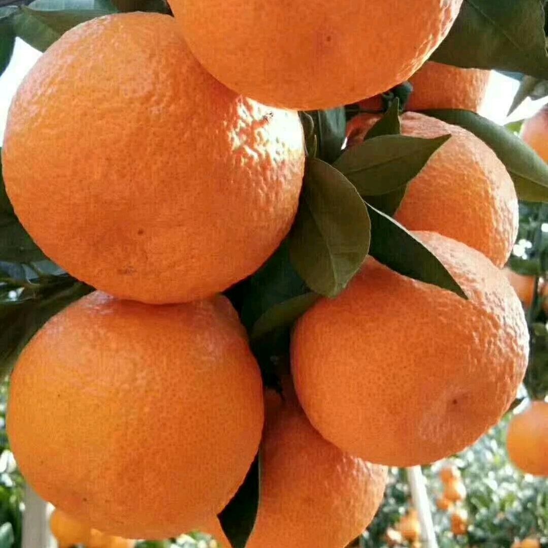 晴天