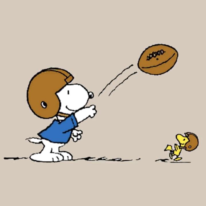 楼顶上的小斑鸠