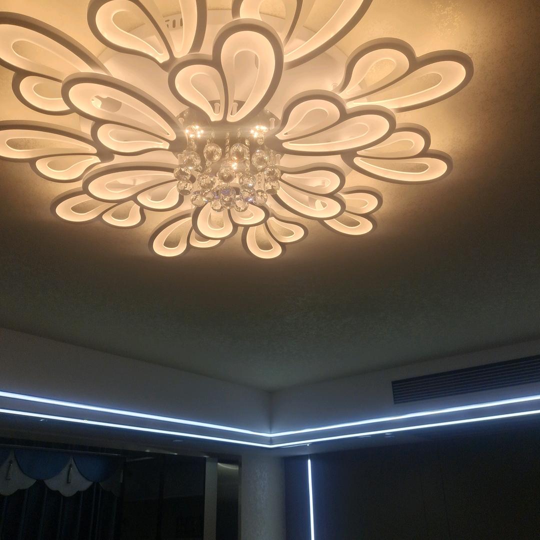 虎