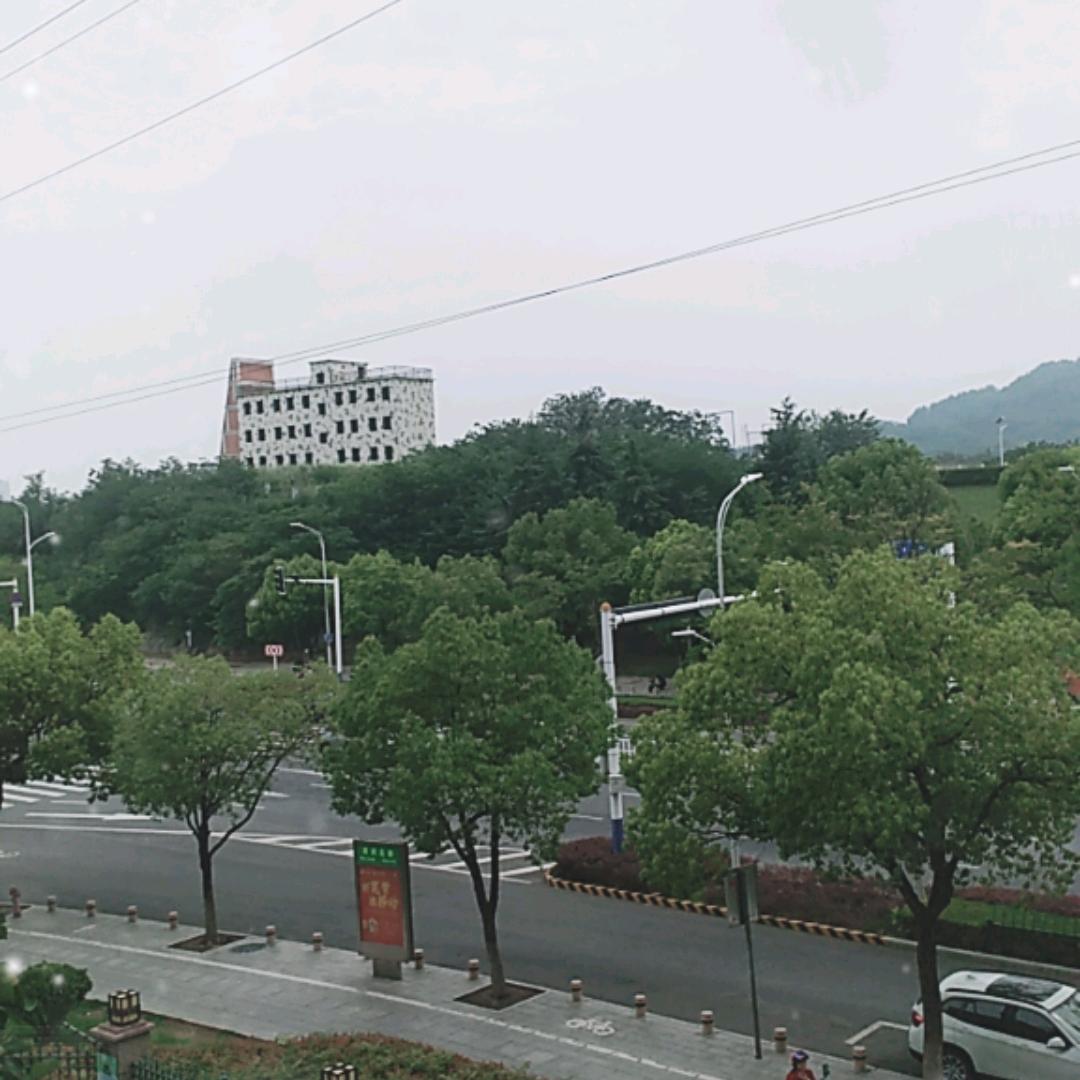 老虎在跳舞